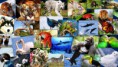/album/fotogaleria/desktop-jpg1/